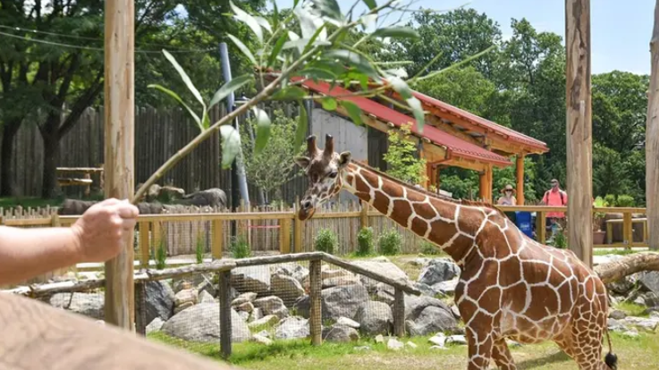 FIELD TRIP: Baltimore Maryland Zoo