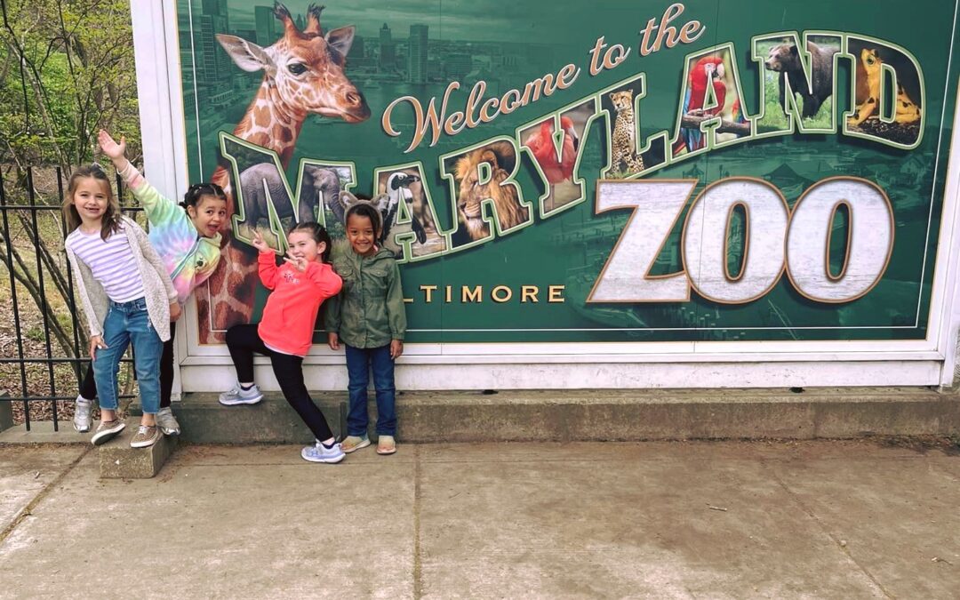 FIELD TRIP: Baltimore Maryland Zoo